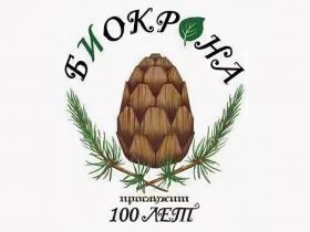 Бренды